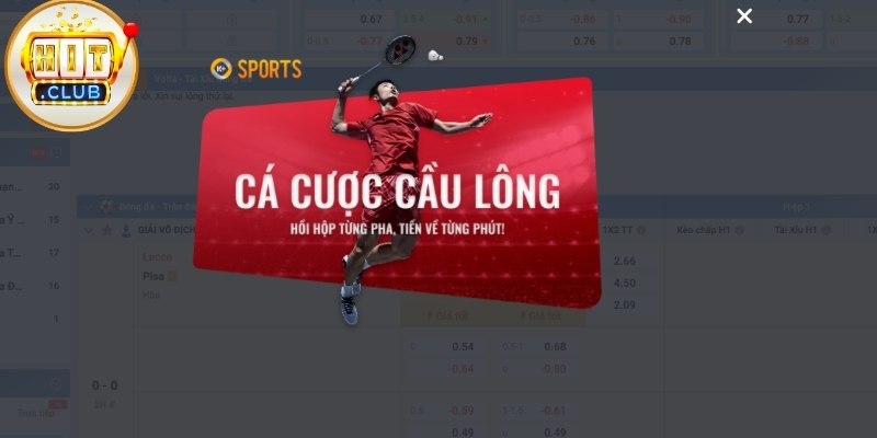 K Thể Thao Là Gì Và Vì Sao Được Nhiều Người Quan Tâm