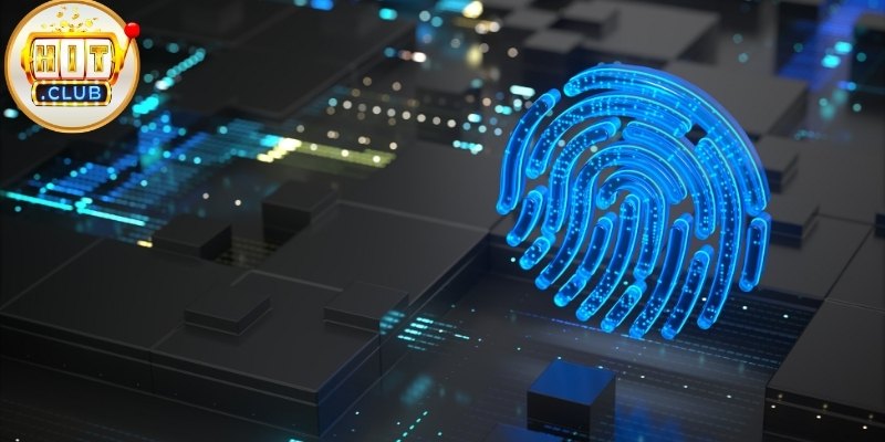 Miễn trừ trách nhiệm