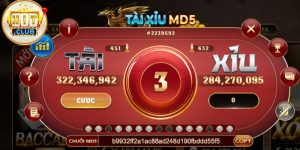 Tài Xỉu MD5 Là Gì Và Cách Chơi Đúng Bản Chất Của Game