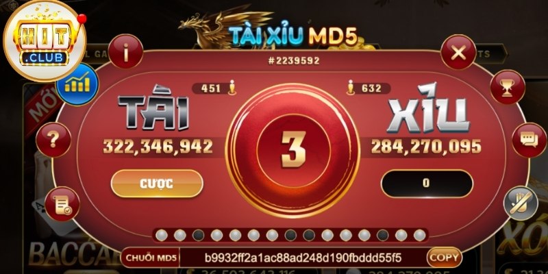 Tài Xỉu MD5 Là Gì Và Cách Chơi Đúng Bản Chất Của Game